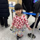 세븐일레븐 대구파크점 | 6살 아이랑 함께하는 4박 5일 세부 가족여행 (제이파크리조트,워터파크,불쇼) :: 2026.01.04~2026.01.08 #1