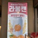 만쥬하나 - 동구 | [경기 부천] 부천역사 안 대형 부천디저트맛집! '캔카페&미미호두' 호두과자·델리만쥬 포장 솔직후기