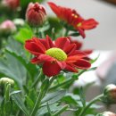 화명도서관 이미지