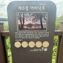 낙조수상레저