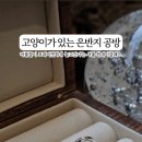 디셈브레 이미지