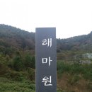 해마원오토캠핑장 이미지