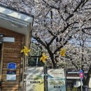 봉하로 | 김해 봉하마을 다녀와봤어요, 노무현 대통령 생가와 묘역까지 솔직 후기