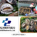 완도식품 주식회사