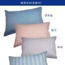 금성메디칼