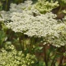 섶밭들마을 이미지