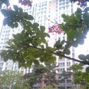 신성대림공인중개사사무소 이미지