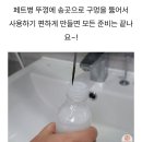 다 쓴 치약 활용법 이미지