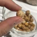 태평선식 | 태평선식 볶은 크리스피 병아리콩 600g 후기, 바삭한 이집트콩 간식 추천