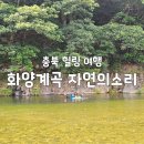 화양밸리자연의소리 | [충북 힐링 여행] 펜션 바로 앞에 계곡, 힐링이 필요하다 괴산 화양밸리 자연의소리 펜션