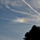 수리산산림욕장 이미지