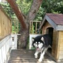 바다애보석 이미지