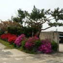 용궁모텔 이미지