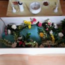 천사애견 이미지