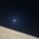 제주 성산 숙소 베아툼 스파앤풀빌라 만족도최고 [제주 신혼여행 3일차]