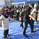 거제도국제펭귄수영축제 이미지