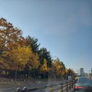 상계벽산아파트 앞 버스정류장 이미지