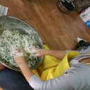 쌍용키즈태권도 이미지