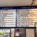 뷰티, 나애