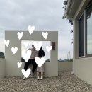 스테이 옥도 | 전북 군산시 | 군산 독채 감성 숙소 , 구공스테이 옥도 내돈내산 방문 후기