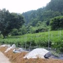 어상천면사무소 이미지