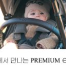 에그공