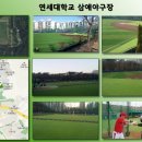 연세대학교삼애캠퍼스연세대야구장 Daum카페