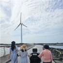 제주휠체어투어 웰페어뉴스