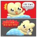 장가네김밥천국 | [7/11-7/25]여름 헤이러/여름제주/다정이네/오는정김밥평일/몽탄평일/제주몽탄/제주김밥투어/판포포구주차