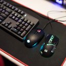 오셀롯pc방 이미지
