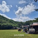 샬롬매점