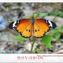 공산농어민문화체육센터체육관 | 23일[날씨]&amp;[주요일정]&amp;[역사속 오늘]&amp;[뉴스와 상식] *[시사조선/식품환경신문/에이블뉴스]