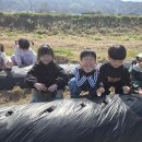 춘천 사암2리 강원도민일보