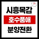 경인성빌딩(다우빌딩) | 시흥목감호수품애 분양전환 시작! 일시납 vs 분할납부, 무엇이 유리할까? 완벽정리