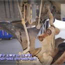 중앙카독크 이미지