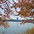 영랑호 북측 | 속초 가볼만한 곳, 영랑호수 윗길 (숨겨진 단풍 명소)