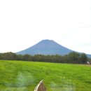 낙원목장 | 다카하시 목장 니세코, 북해도 니세코 추천 관광 디저트 맛집! 북해도에서도 손꼽히는 인기 유제품...