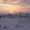 골든힐폼 이미지