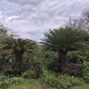 더자주스테이 이미지