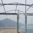 이동문농장 이미지