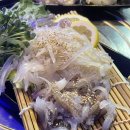 송파 개롱 가락어시장 송파주민맛집 산오징어회 내돈내산 방문