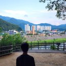 금강정 | 20260703 강원 영월 브라더한정식도시락 – 금강정 피크닉 후기