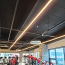 리라 핏 이미지