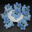 블루이올(BLUEIOL)