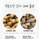 수미마트
