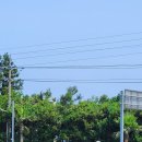 제주:) 오늘 이미지