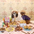 댕댕잇제과점 이미지