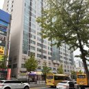 빙고101 | 대전 둔산동 시청역 당일 픽업가능한 수제 케이크집 빙고케이크 후기