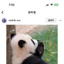 오리떼 편의점 이미지