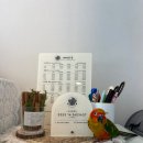 베베몽몽 이미지